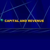 revenue capital expenditure